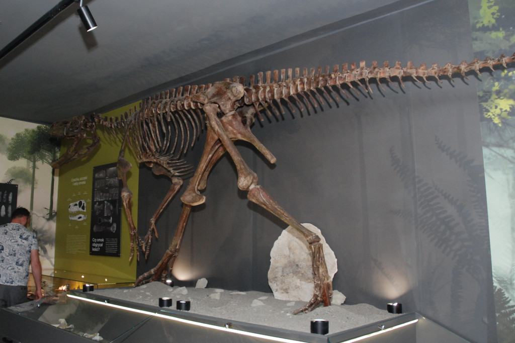 Majówka po sąsiedzku w muzeum paleontologicznym