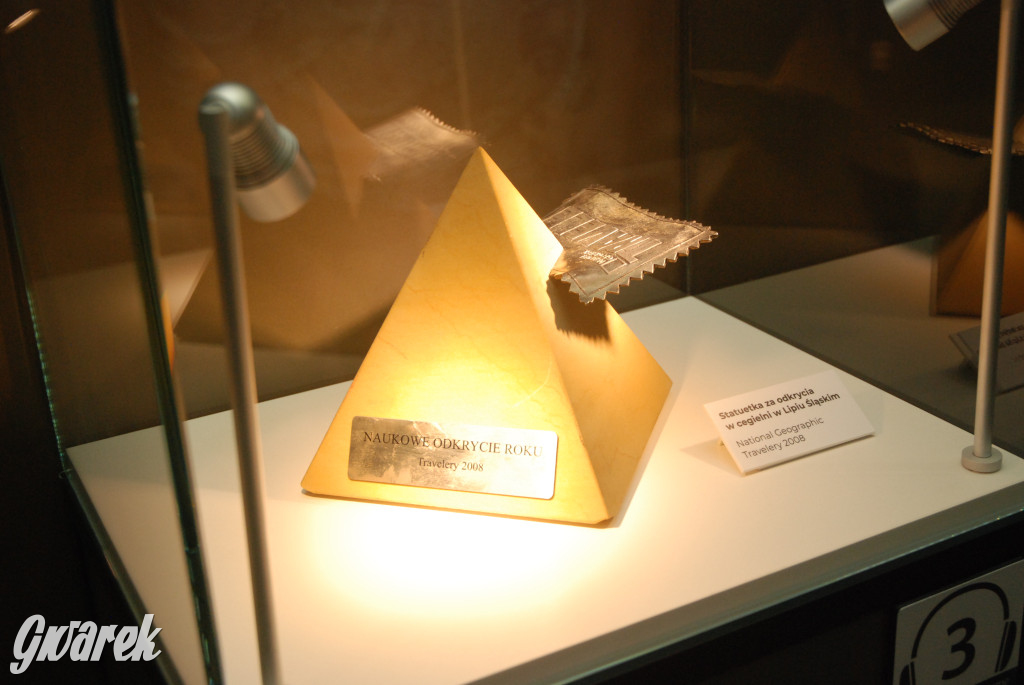 Majówka po sąsiedzku w muzeum paleontologicznym