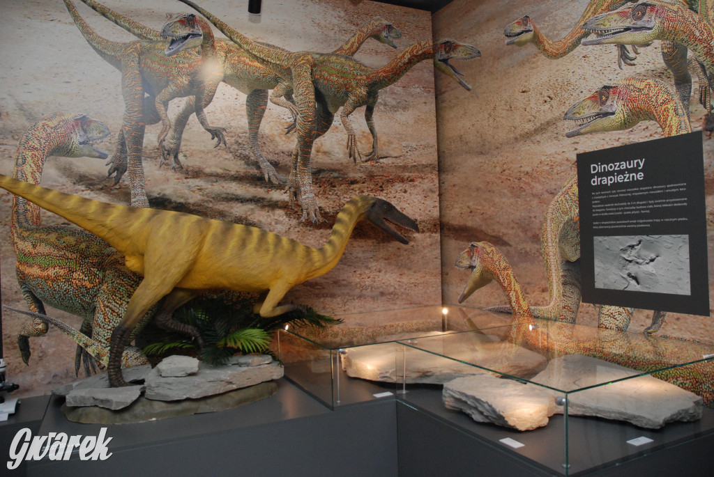 Majówka po sąsiedzku w muzeum paleontologicznym