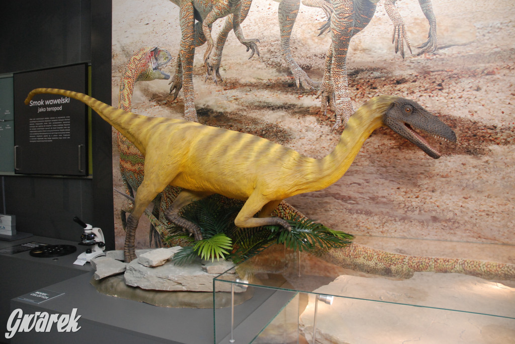 Majówka po sąsiedzku w muzeum paleontologicznym