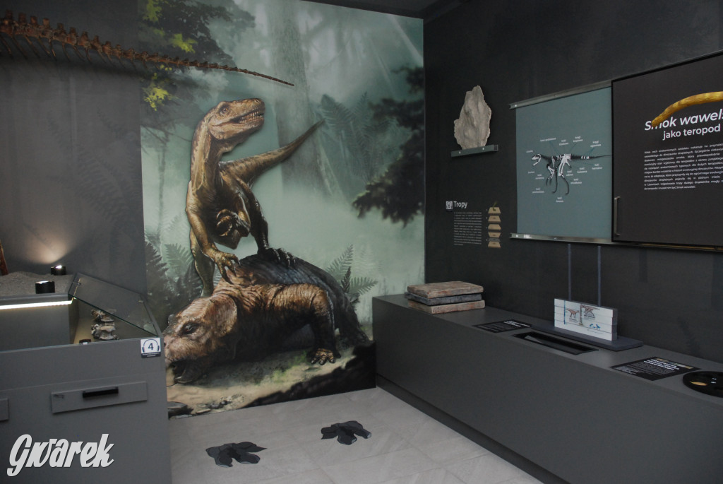 Majówka po sąsiedzku w muzeum paleontologicznym