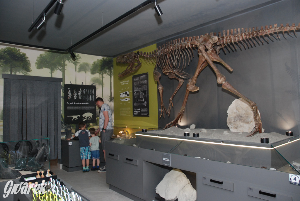 Majówka po sąsiedzku w muzeum paleontologicznym