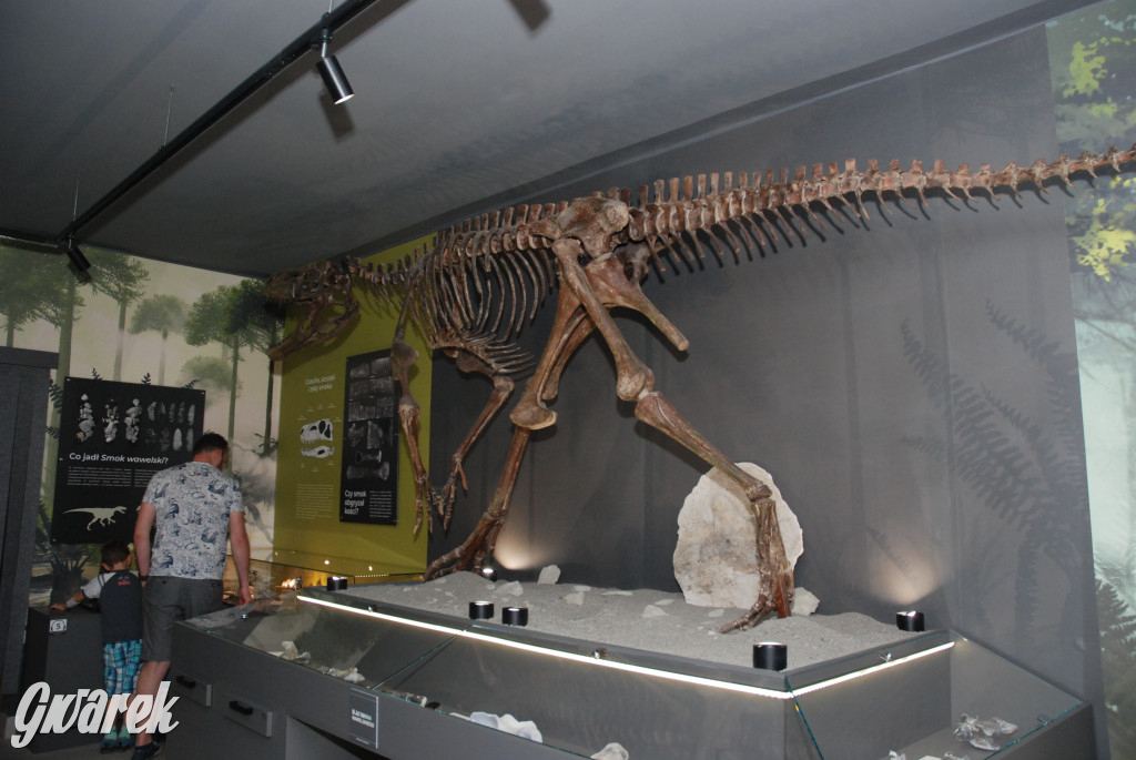 Majówka po sąsiedzku w muzeum paleontologicznym