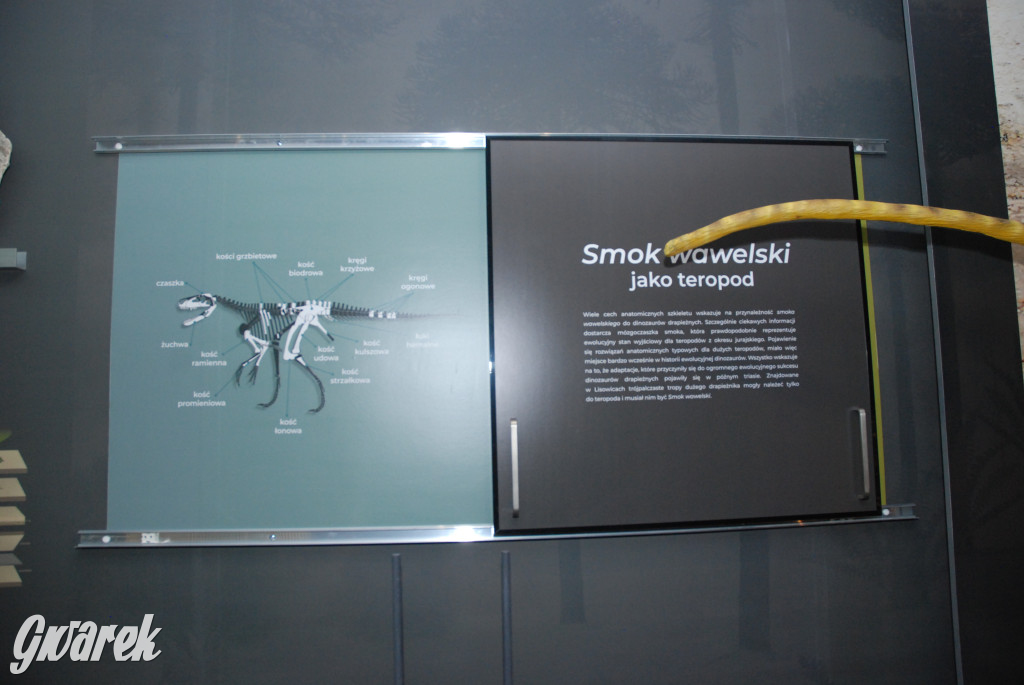 Majówka po sąsiedzku w muzeum paleontologicznym