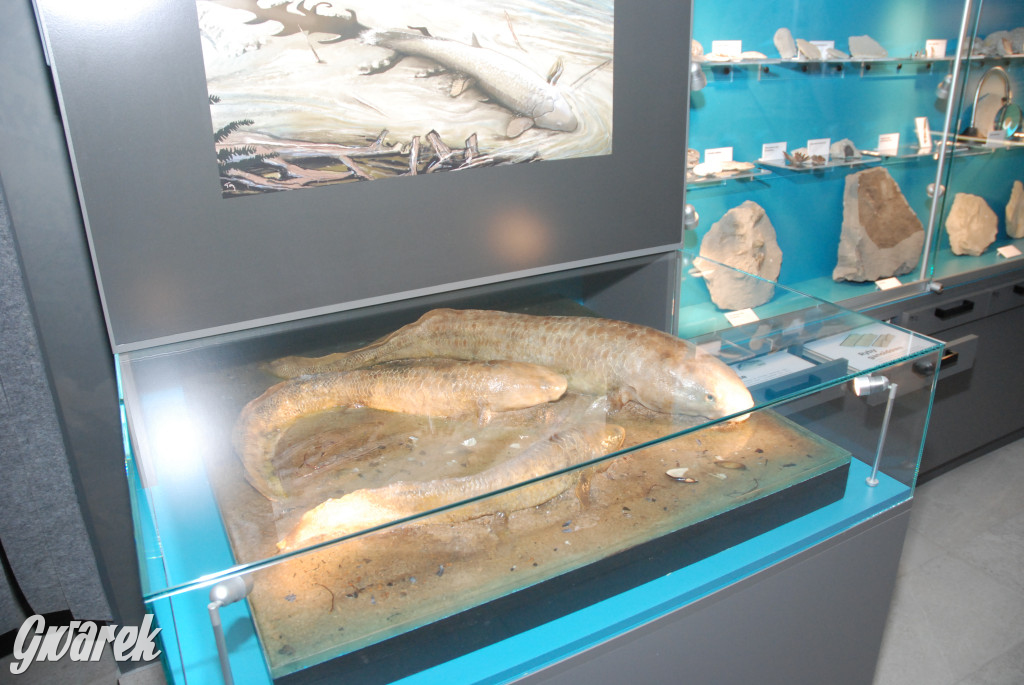 Majówka po sąsiedzku w muzeum paleontologicznym