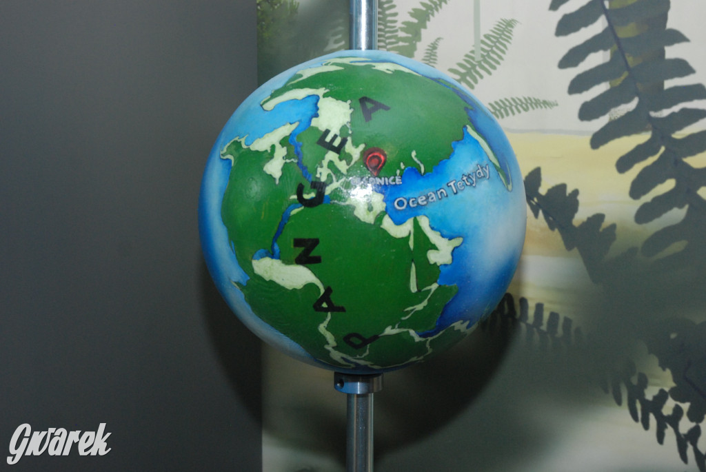 Majówka po sąsiedzku w muzeum paleontologicznym