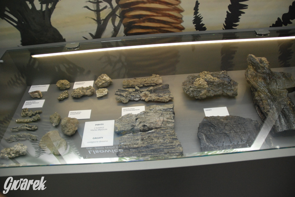 Majówka po sąsiedzku w muzeum paleontologicznym