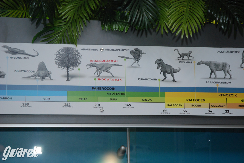 Majówka po sąsiedzku w muzeum paleontologicznym