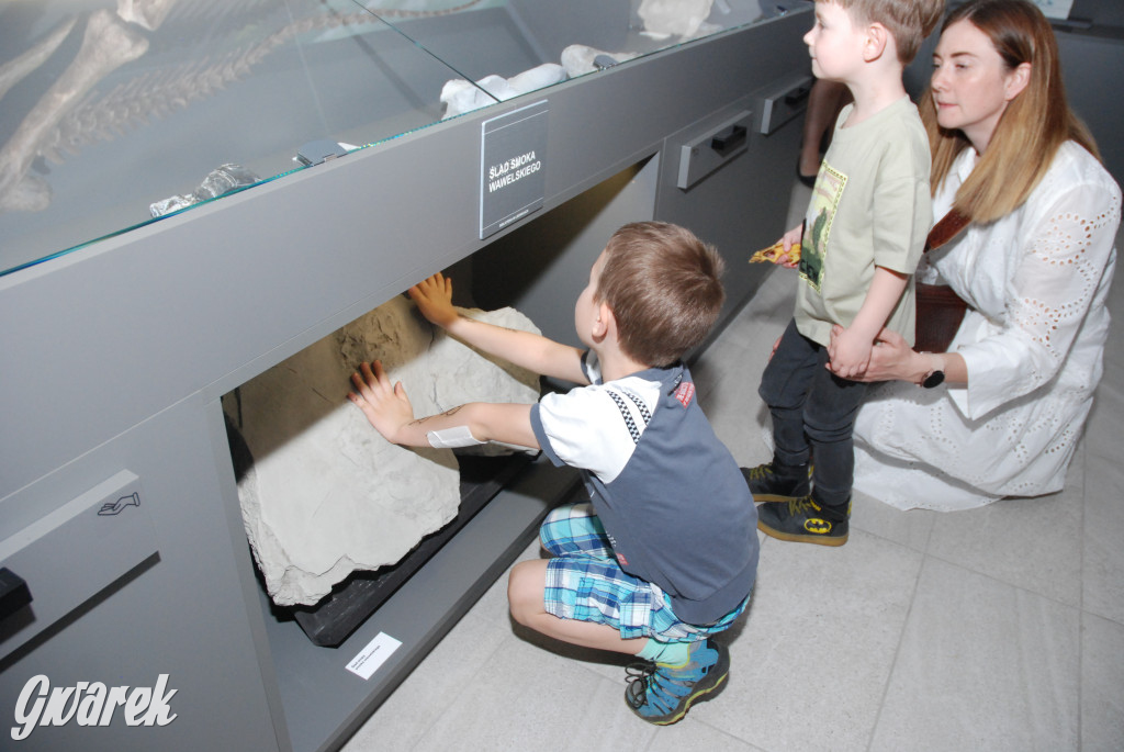 Majówka po sąsiedzku w muzeum paleontologicznym