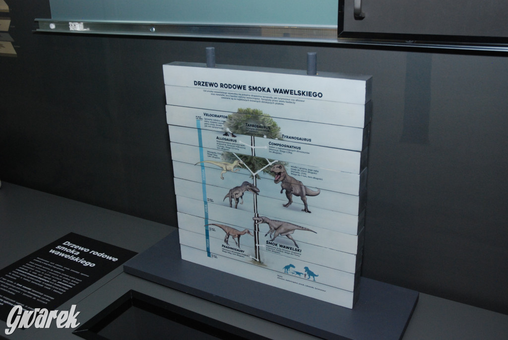 Majówka po sąsiedzku w muzeum paleontologicznym