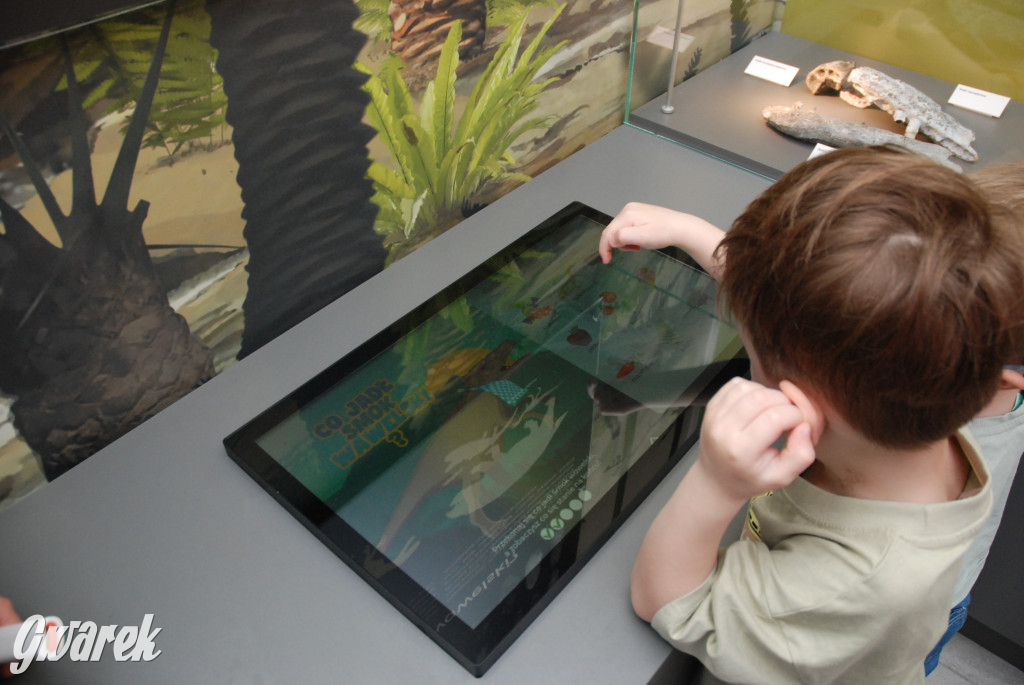 Majówka po sąsiedzku w muzeum paleontologicznym