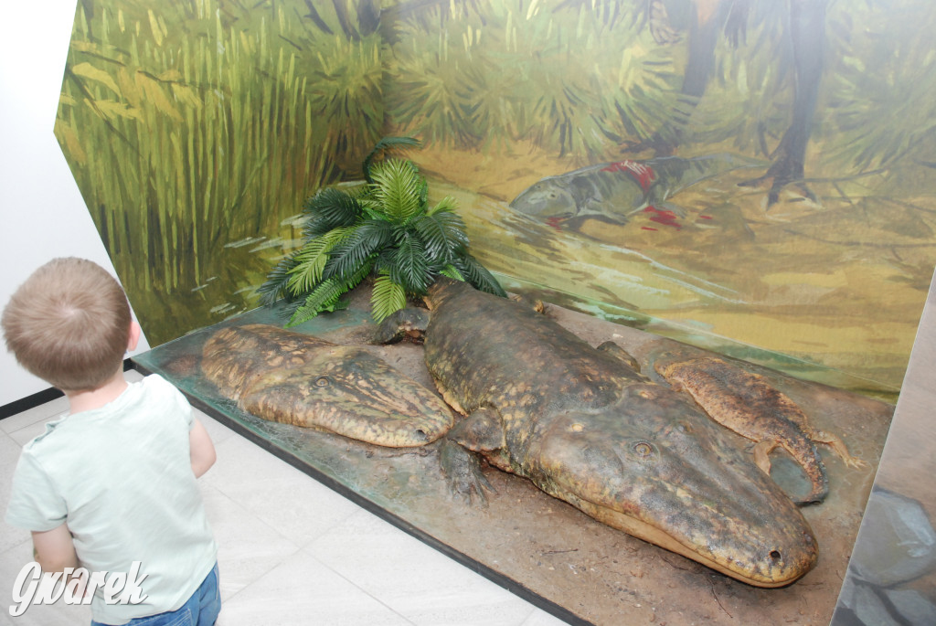 Majówka po sąsiedzku w muzeum paleontologicznym
