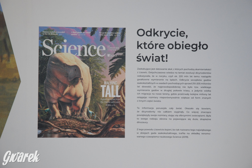 Majówka po sąsiedzku w muzeum paleontologicznym