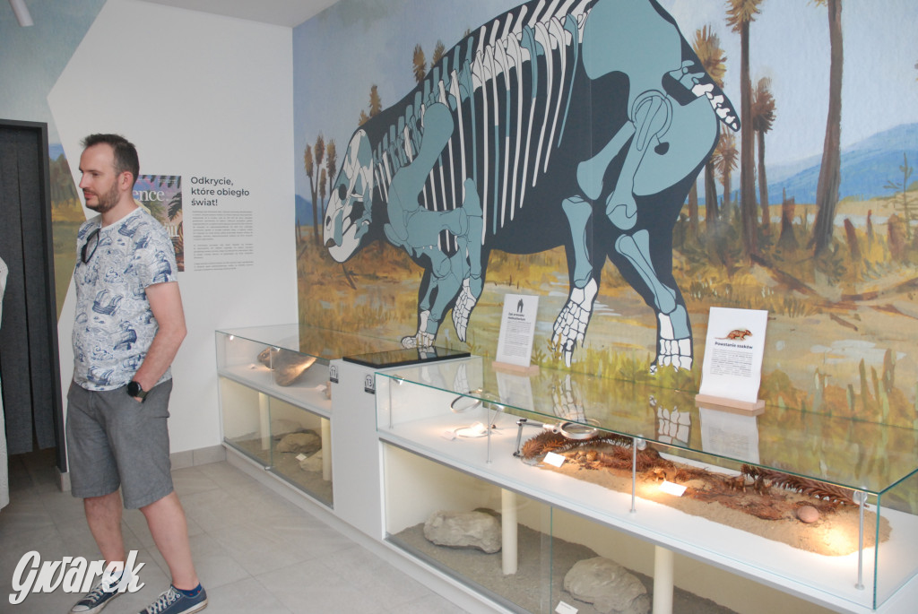 Majówka po sąsiedzku w muzeum paleontologicznym
