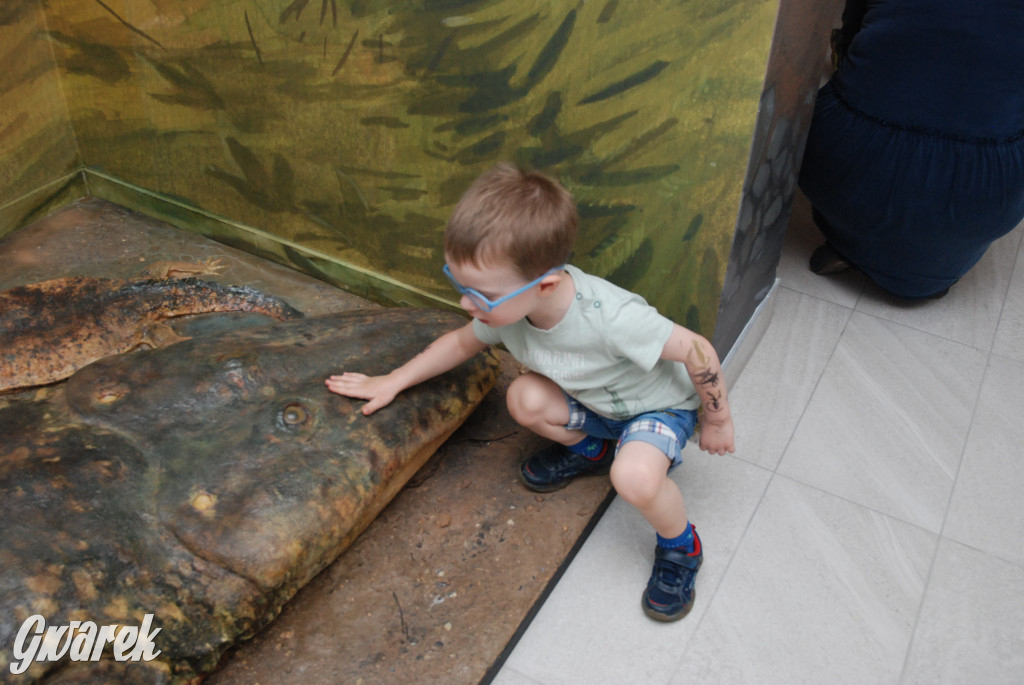 Majówka po sąsiedzku w muzeum paleontologicznym