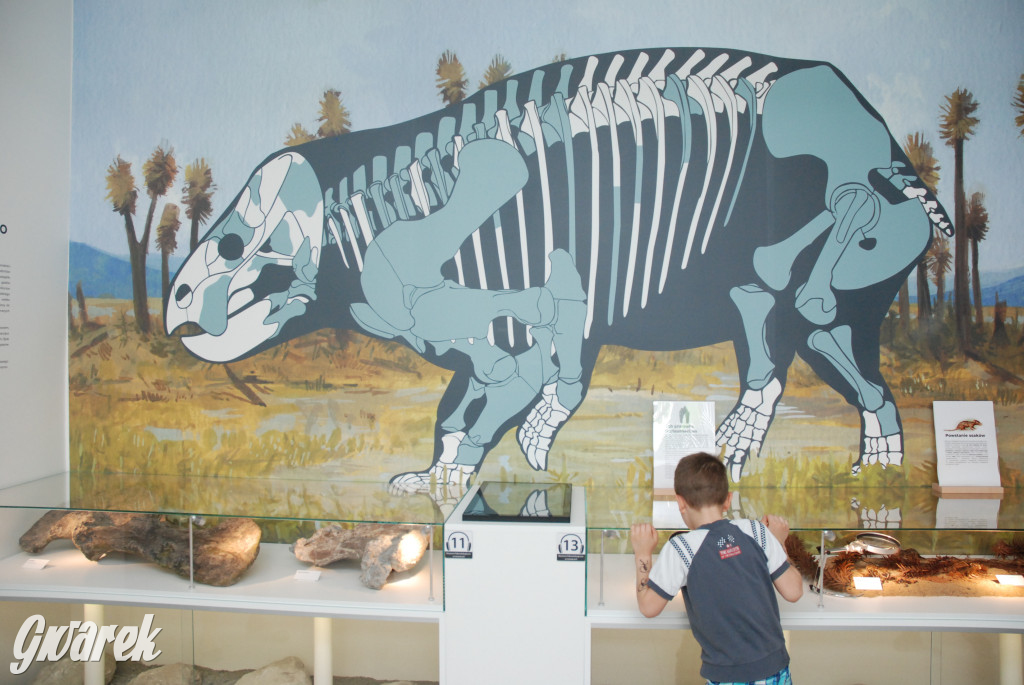 Majówka po sąsiedzku w muzeum paleontologicznym