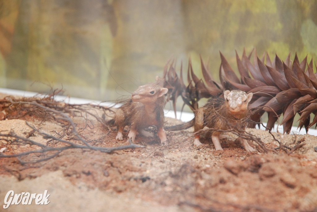 Majówka po sąsiedzku w muzeum paleontologicznym