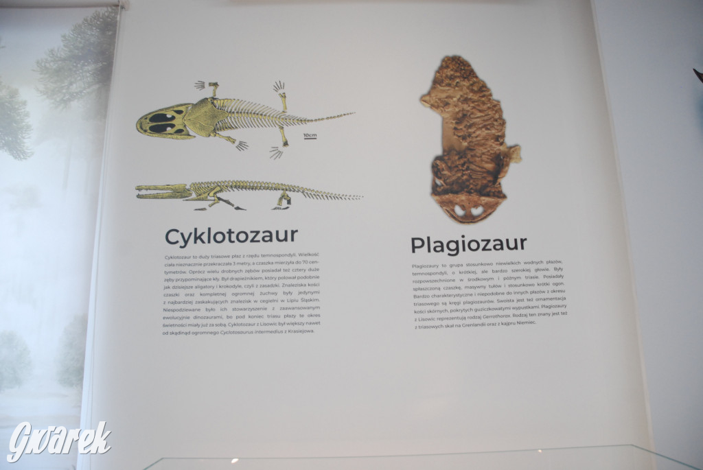 Majówka po sąsiedzku w muzeum paleontologicznym