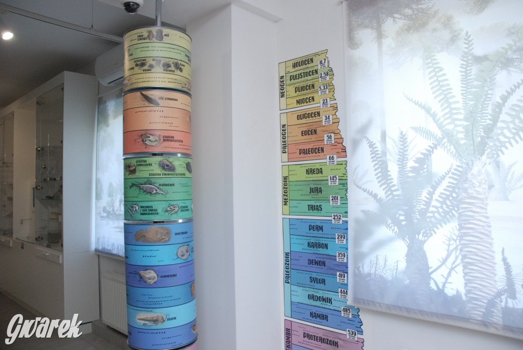 Majówka po sąsiedzku w muzeum paleontologicznym