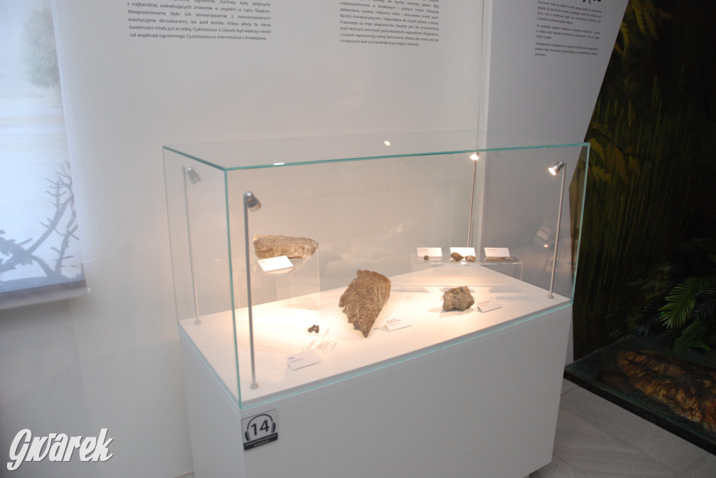 Majówka po sąsiedzku w muzeum paleontologicznym