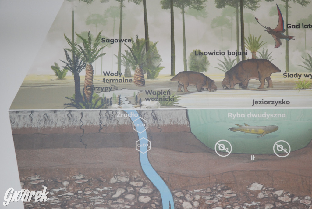 Majówka po sąsiedzku w muzeum paleontologicznym