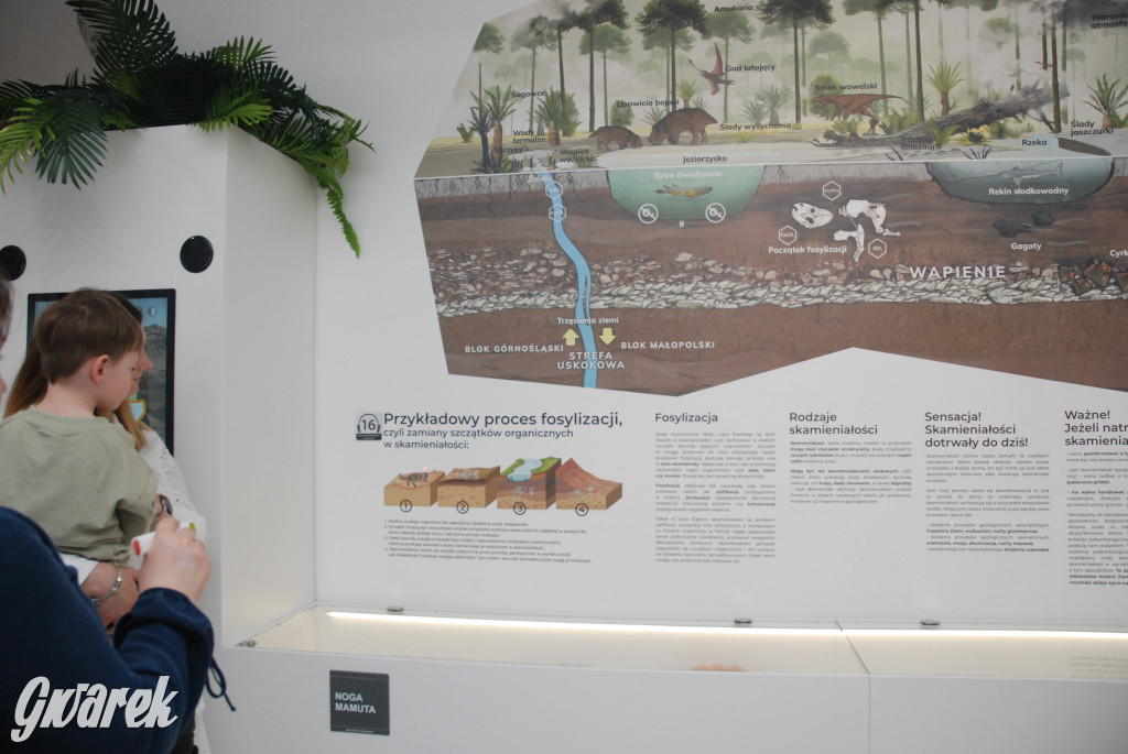 Majówka po sąsiedzku w muzeum paleontologicznym