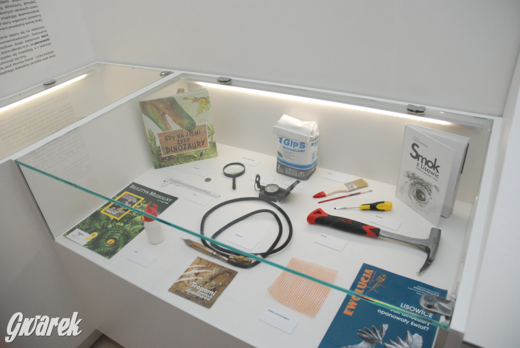 Majówka po sąsiedzku w muzeum paleontologicznym