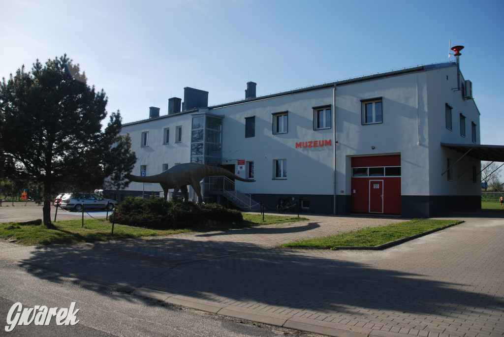 Majówka po sąsiedzku w muzeum paleontologicznym