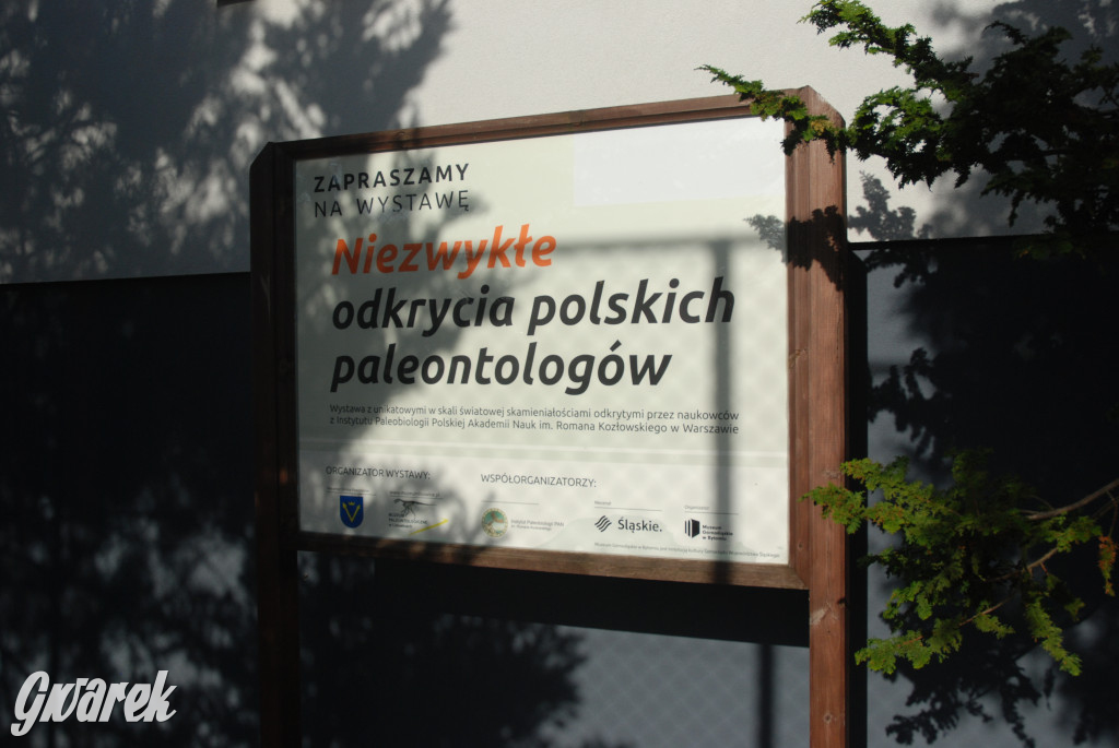Majówka po sąsiedzku w muzeum paleontologicznym