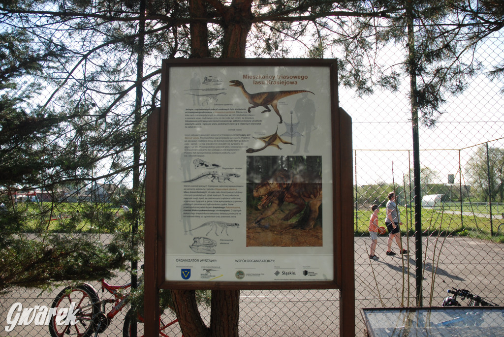 Majówka po sąsiedzku w muzeum paleontologicznym