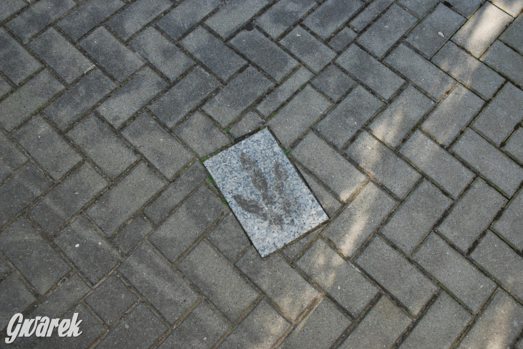 Majówka po sąsiedzku w muzeum paleontologicznym