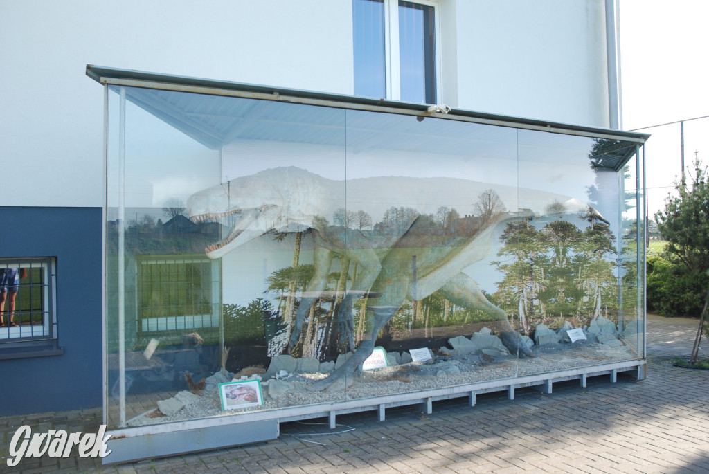 Majówka po sąsiedzku w muzeum paleontologicznym