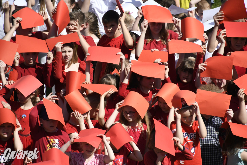 Nowe Chechło. Dzień Flagi RP