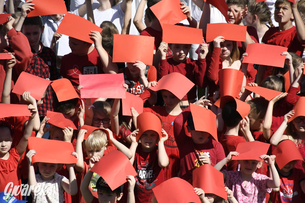 Nowe Chechło. Dzień Flagi RP