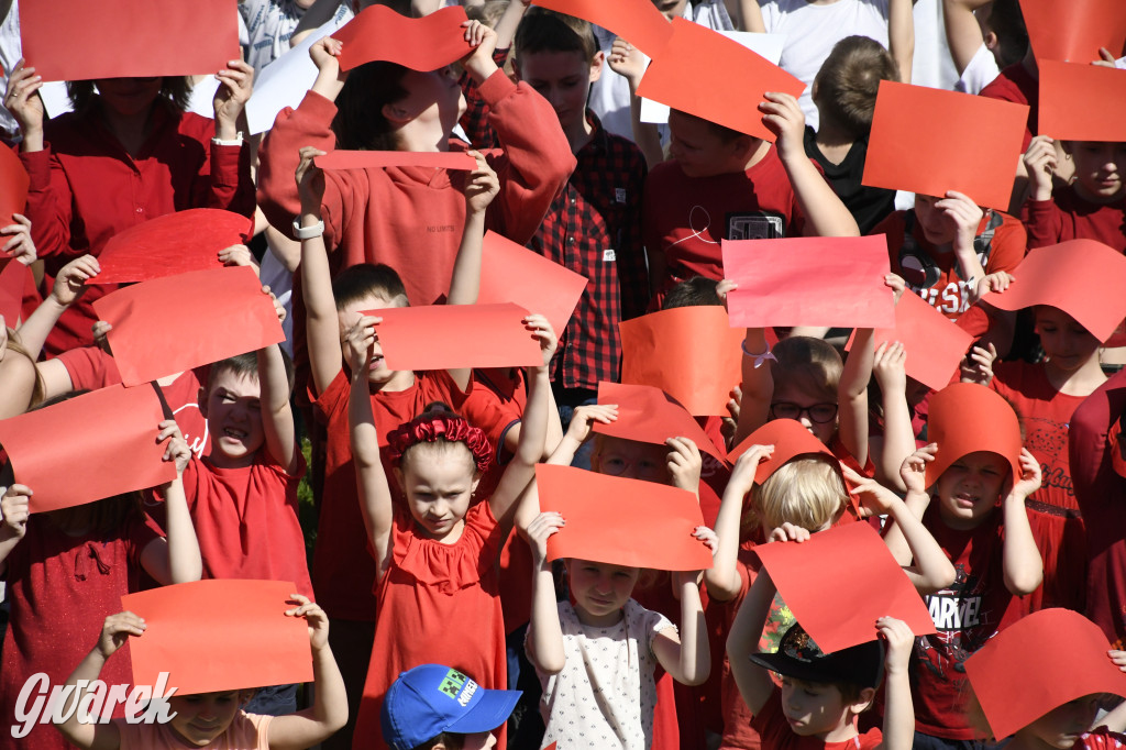 Nowe Chechło. Dzień Flagi RP