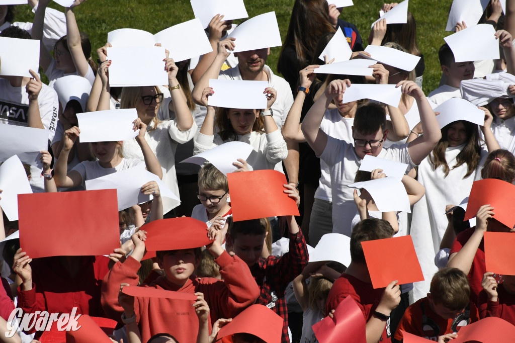 Nowe Chechło. Dzień Flagi RP