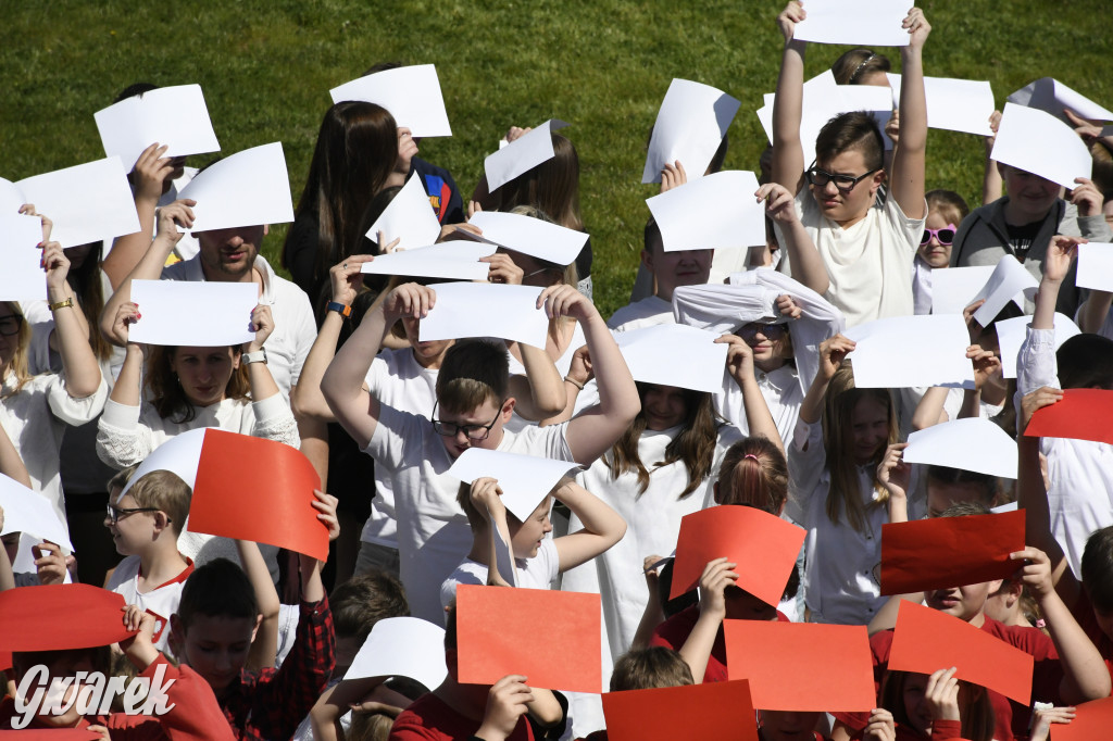 Nowe Chechło. Dzień Flagi RP