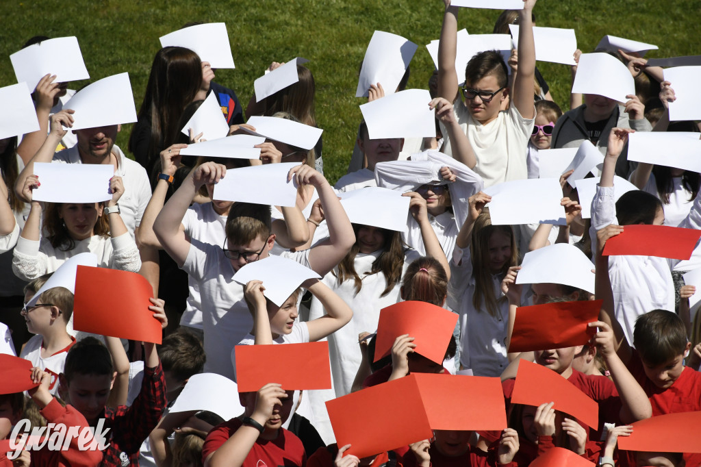 Nowe Chechło. Dzień Flagi RP