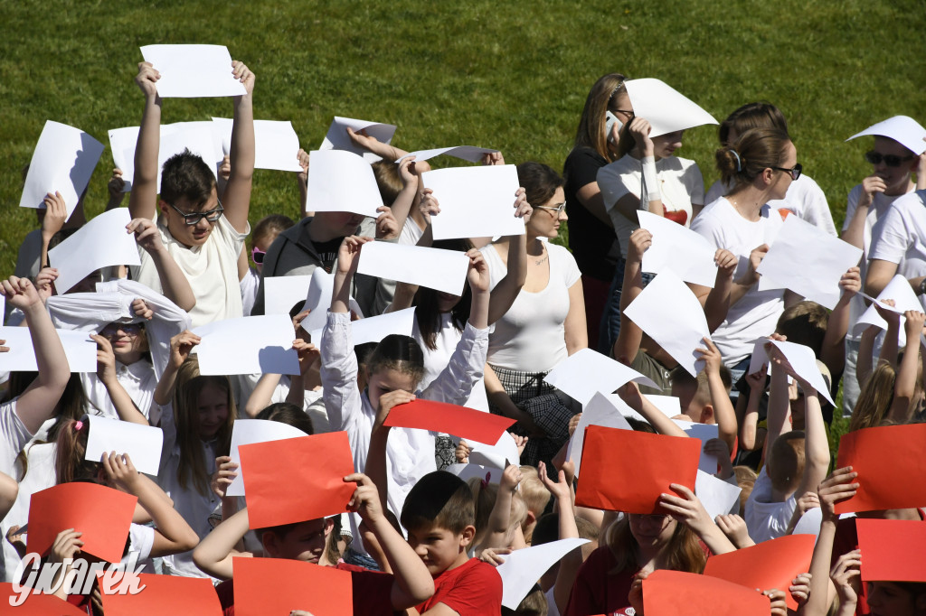 Nowe Chechło. Dzień Flagi RP