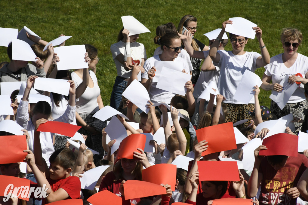 Nowe Chechło. Dzień Flagi RP