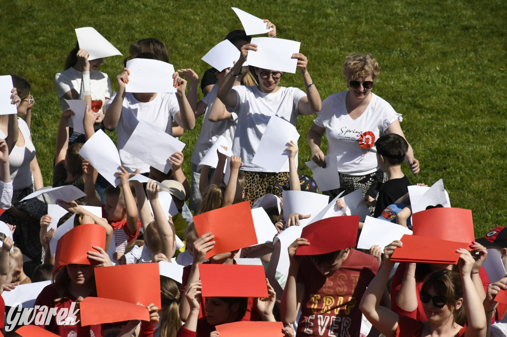 Nowe Chechło. Dzień Flagi RP