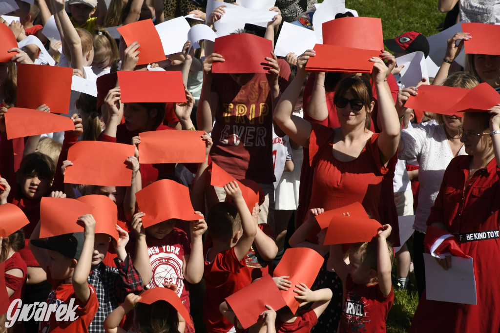 Nowe Chechło. Dzień Flagi RP