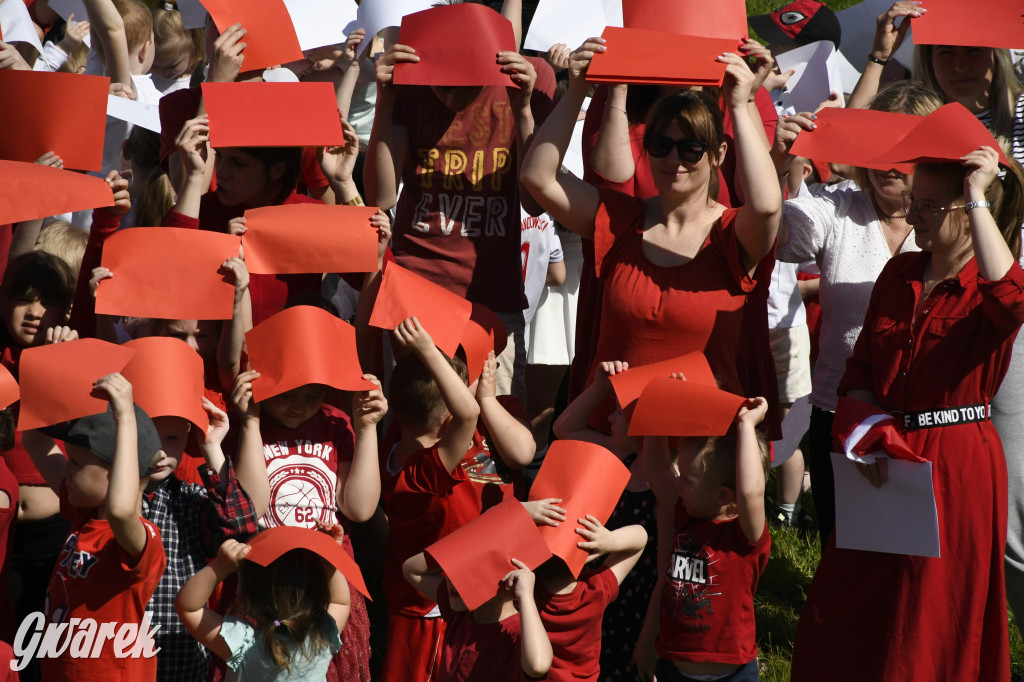 Nowe Chechło. Dzień Flagi RP