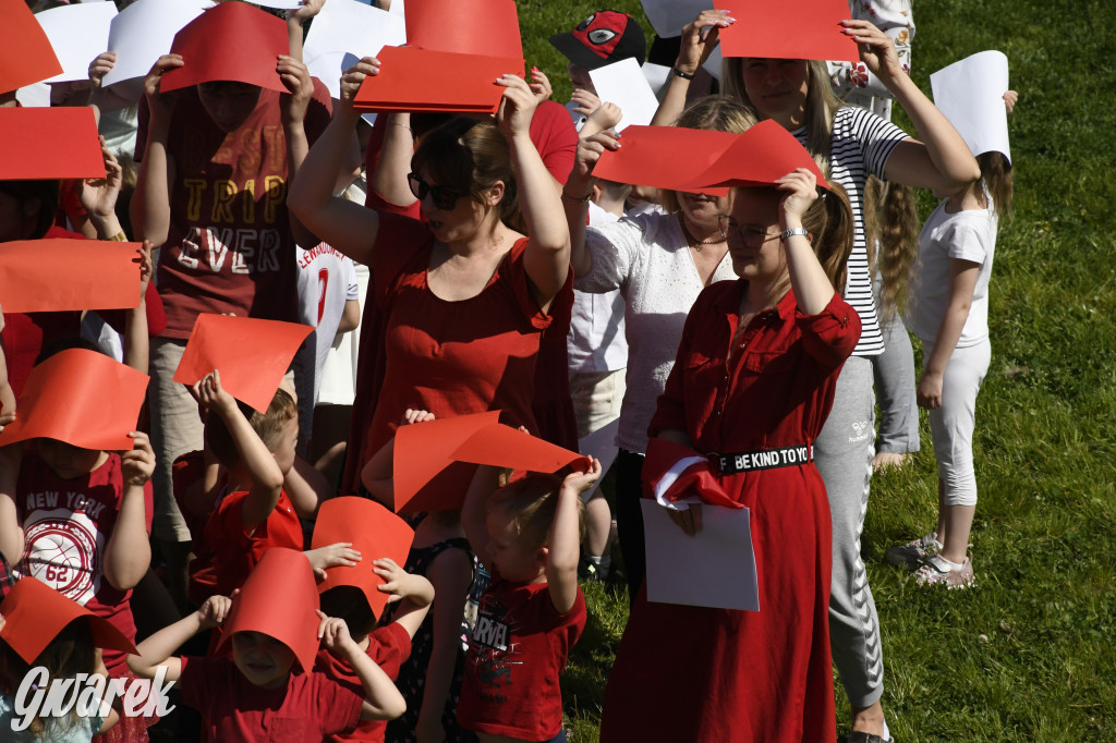 Nowe Chechło. Dzień Flagi RP