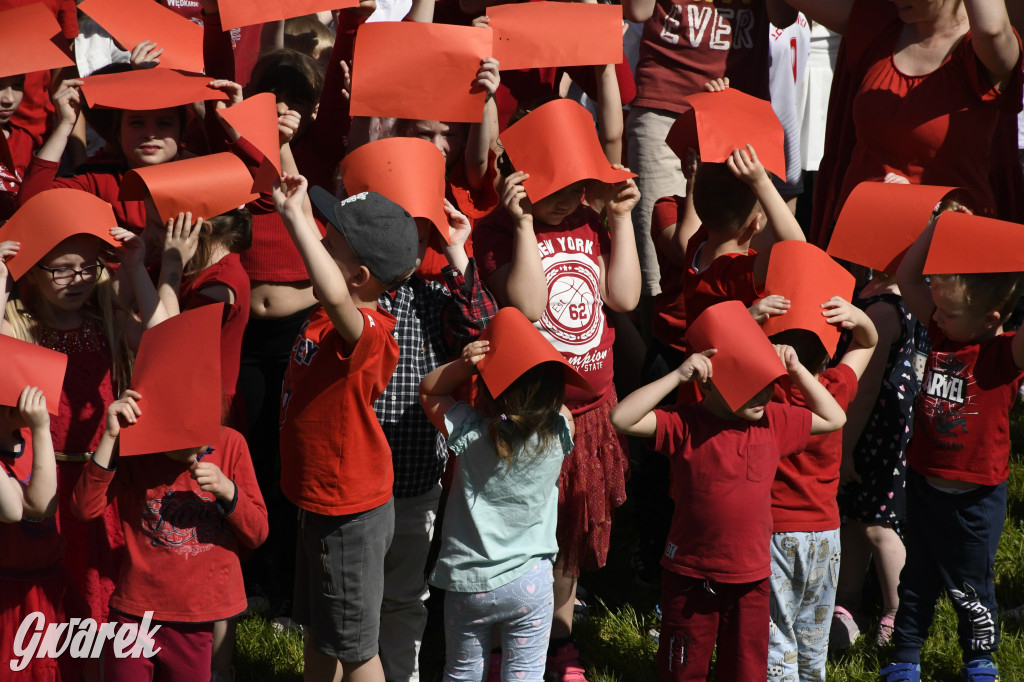 Nowe Chechło. Dzień Flagi RP