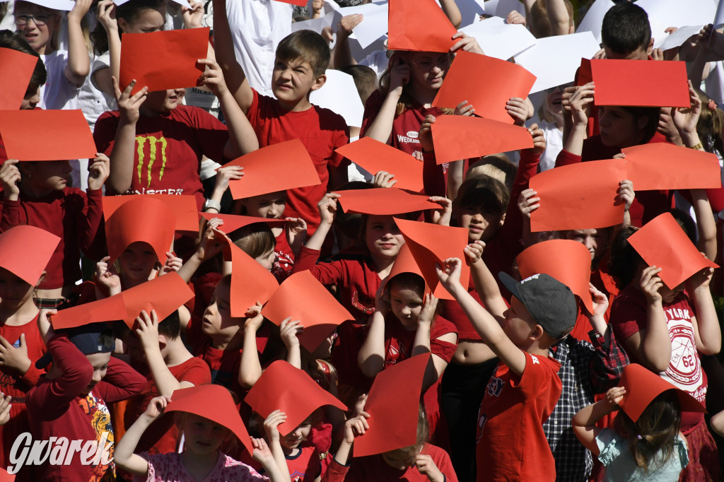 Nowe Chechło. Dzień Flagi RP