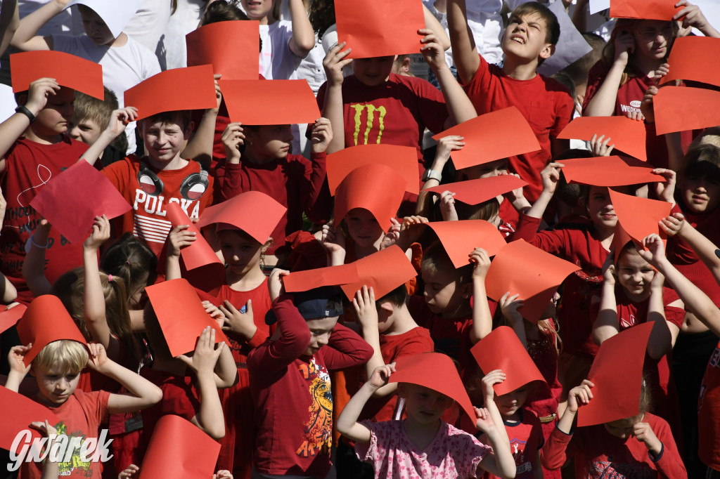 Nowe Chechło. Dzień Flagi RP