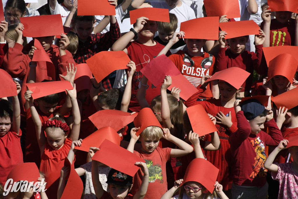 Nowe Chechło. Dzień Flagi RP