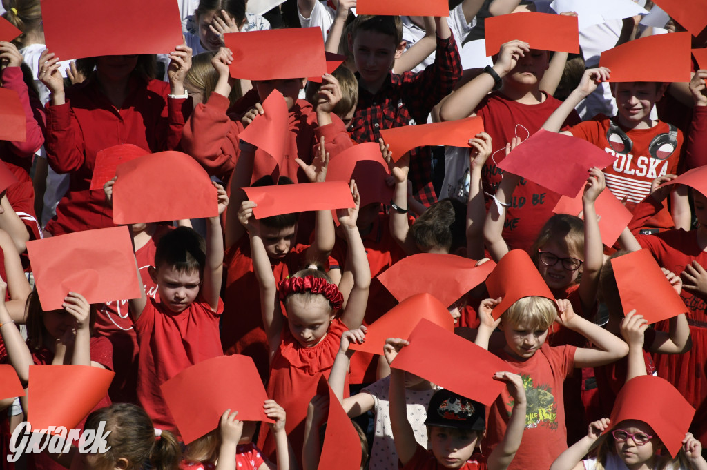 Nowe Chechło. Dzień Flagi RP