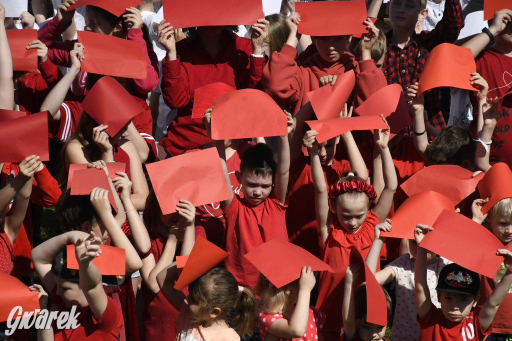 Nowe Chechło. Dzień Flagi RP